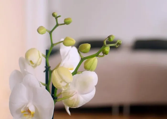 Next To New Harbor / 3 Bedroom & 2 Bath * Copenhague